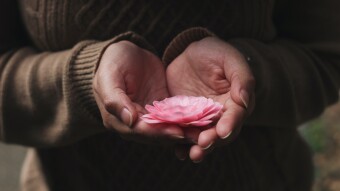 Your Fragile Life is the Hands of Merciful God - A Story About a Fly That Lived