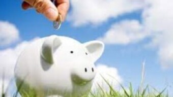 Animal Farm Piggy Bank Details Laid Out in AMA with Crypto Mike