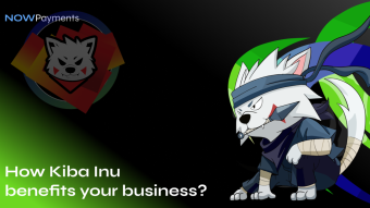 Ways to boost your business with Kiba Inu