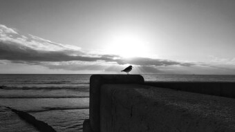 My Sunset Photos #9