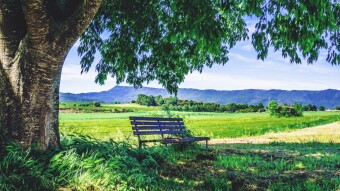 The Investor's Comfort Zone.