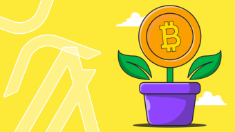StealthEX Crypto Newsletter — Issue #19. Go Green!
