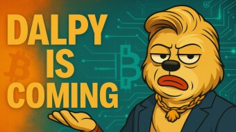 DALPY COIN Official Website Launch Countdown Begins, Signaling New Movement in Solana Meme Coin Ecosystem