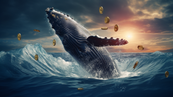 Whales in the Crypto Ocean: Understanding the Big Players’ Marketing Plans