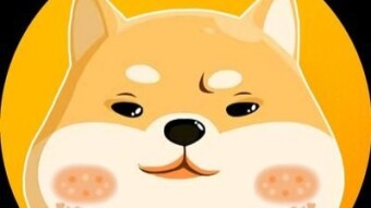 MOTHER DOG Project