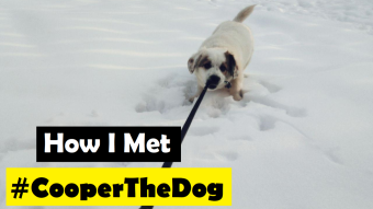 How I Met #CooperTheDog