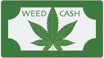 Weedcash Price Report February 07