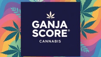 Ganja Score: Learn More about $SCORE