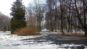 A bit cooler today, with sun and fog, but pleasant - My Actifit Report Card: January 23, 2025