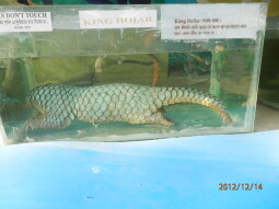 Fish Meuseum of COX-BAZAR @BANGLADESH