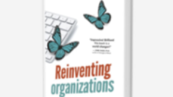 Reinventing Organisations - Notes and Yearn Food for Thought