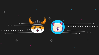 Two Powerful Armies: Floki Inu vs Kishu Inu