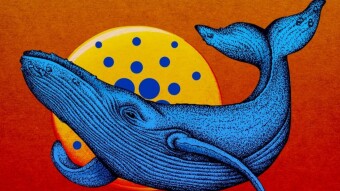 Decentralized? 10% Cardano Whale Controls 94% Of All ADA in Supply