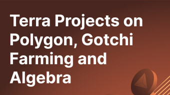 Terra Projects on Polygon, Gotchi Farming and Algebra