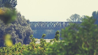 Across the river and into the trees: Becca bridge - A photographic project