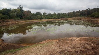 Serene Karura Forest In Nairobi, Kenya (Part 1)