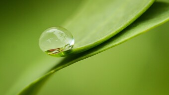 Lock Down Water Fasting