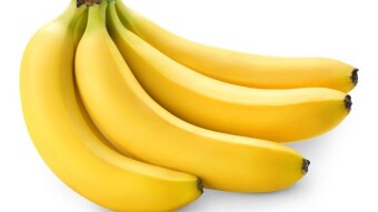 You Can Only Eat 1 Fruit.....For The Rest of Your Life!