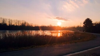 The sun has returned and hope for the soon arrival of spring - My Actifit Report Card: March 2 2025