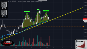 XRP at the Crossroad