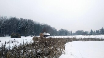 After the evening rains, a thaw came - My Actifit Report Card: January 13, 2026