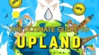 The Ultimate Guide to Upland! - Blog #17