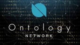 POTENTIAL USE CASE OF ONTOLOGY  IN AFRICA