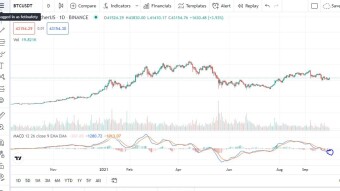 We are in Q4, Will Crypto Market Pump soon?