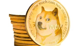 Earn DOGECOIN for visiting websites