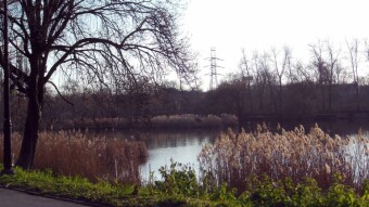 Continuation of the Spring Aura, and with the sun - My Actifit Report Card: Derecge 18 2024