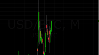 Cryptocurrency Bull Market!