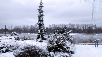 Winter weather returns in a beautiful setting - My Actifit Report Card: February 15, 2026