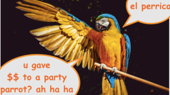 funny crypto tonite - party parrot
