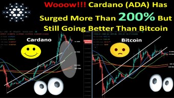 Wooow!!! Cardano (ADA) Has Surged More Than 200% But Still Going Better Than Bitcoin