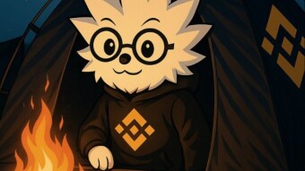 Binance's $BNB's Wild Ride: 24-Hour Drama Unfolds As At 05 November 2025