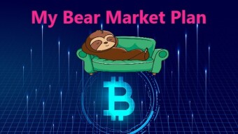 I lied to You - This is My Real Bear Market Plan