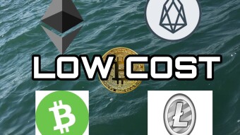 What are the best low - cost alternatives at Bitcoin?