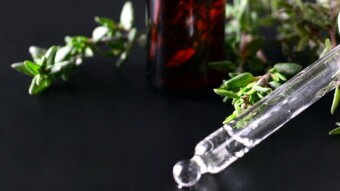 The Wonderful World of Terpenes