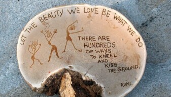 (IJCH) Ganoderma Applanatum (A Mushroom for Health and Art)