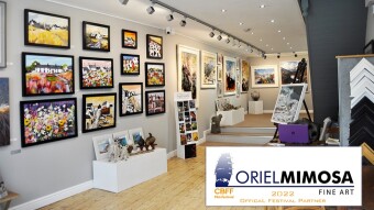 Carmarthen Bay Film Festival: Introducing This Year's #CBFF2022 Festival Partners: Oriel Mimosa Art Gallery