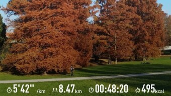 Sunny Saturday Steady Run