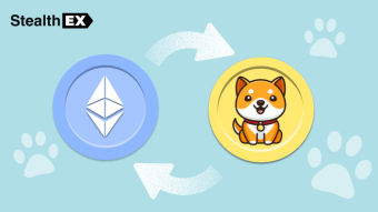 Where And How To Buy Baby Doge Coin Crypto?