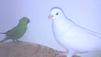 In my life i have lost two nearest person without cause