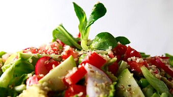 Salad #2