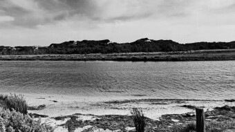 The Mouth of the Powell