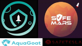 SafeMoon, SafeMars, AquaGoatFinance, SafeTesla same sh** different a*******