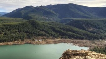 The Urgent Climate Market