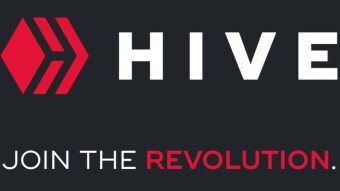5 Of the Best Things About Hive (According to One Content Creator)