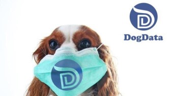 MyDogData