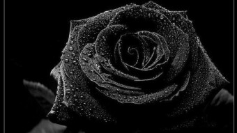 Beautiful Poems of unknown Poets / Красивые Cтихи неизвестных Поэтов (EN / RUS)